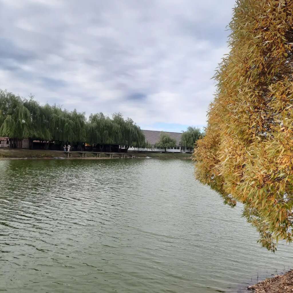 Александровский Парк