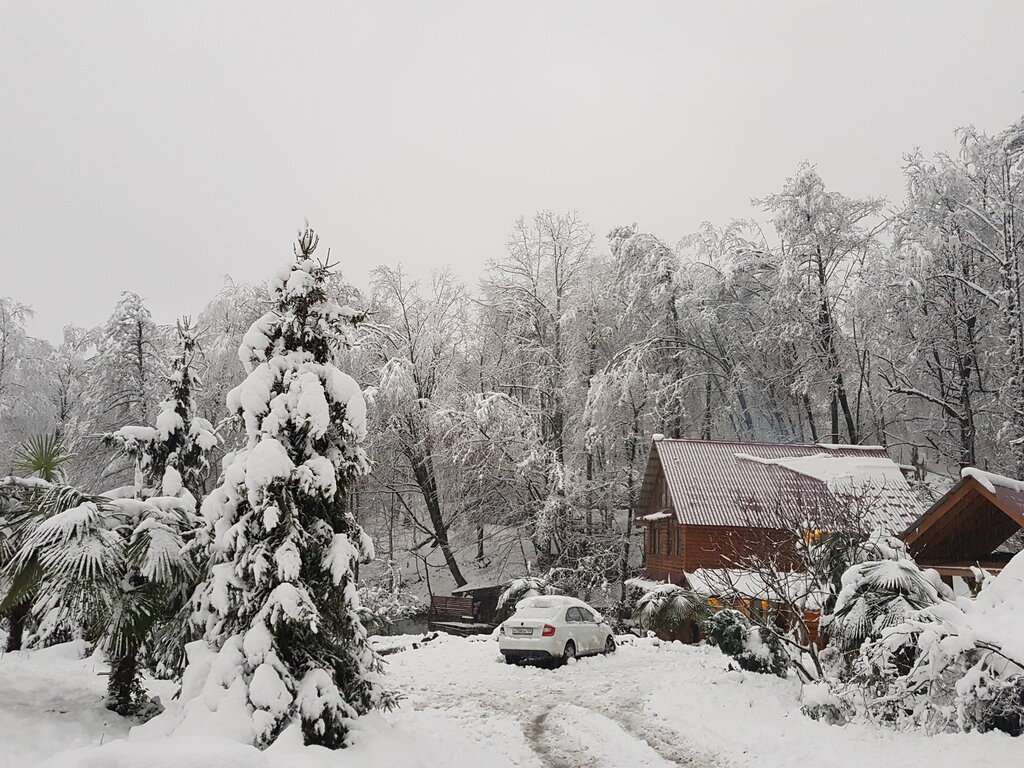 Лебедево озеро