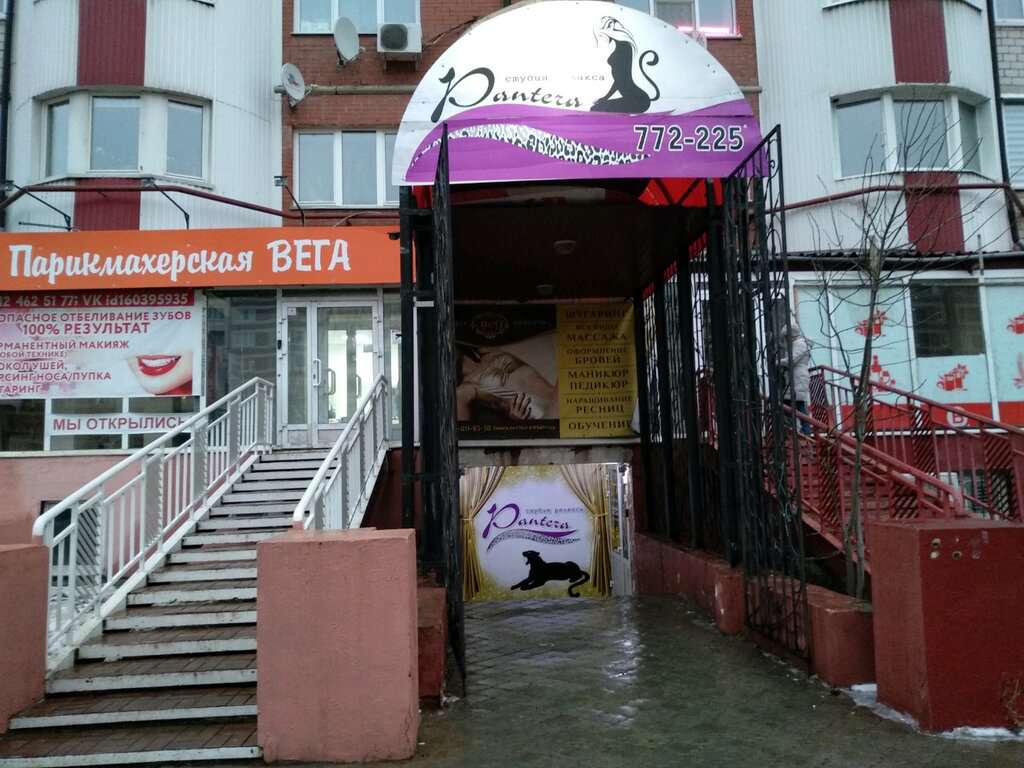 Пантера