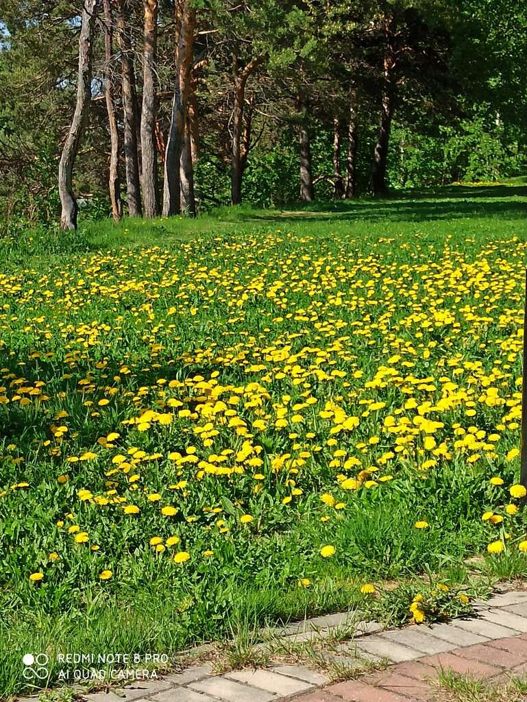 парк Геологов