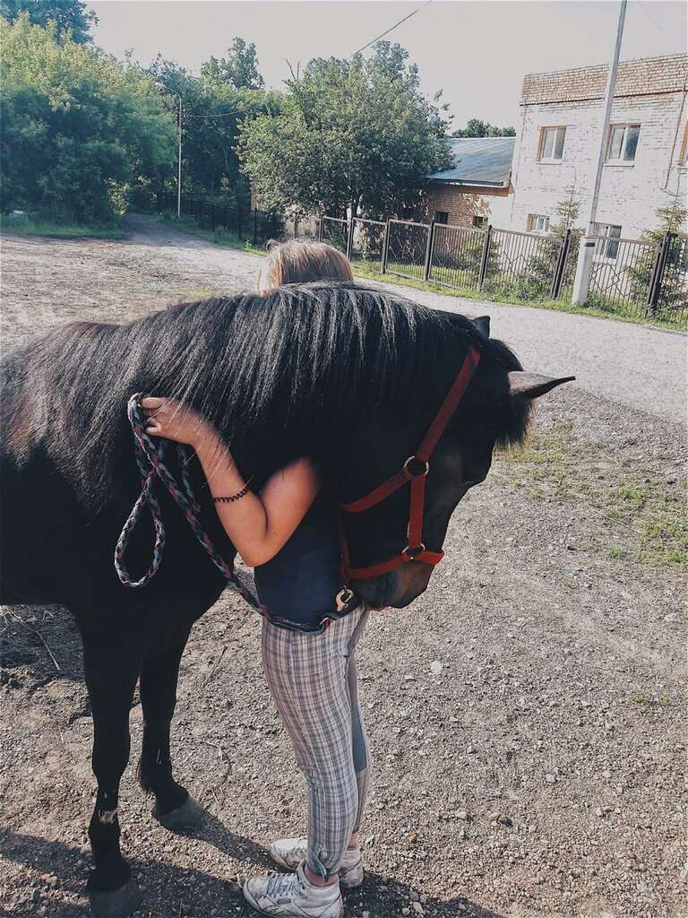 РОО РКС Конный дворик у Садко РБ