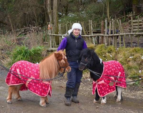 КСК Кентавр