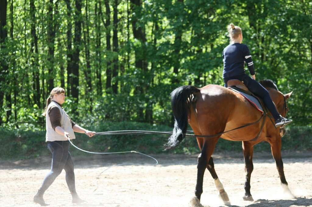 Волшебный лес