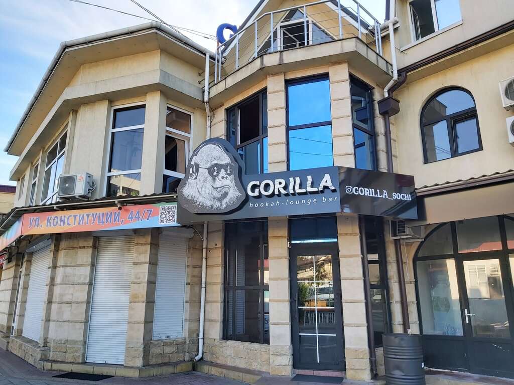 Gorilla Sochi