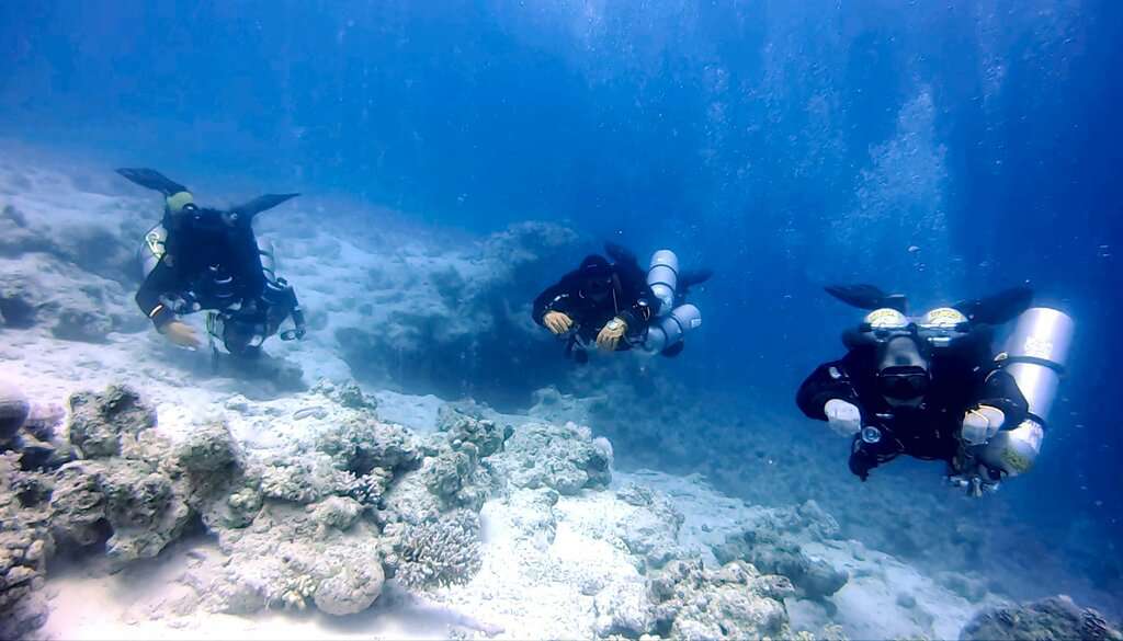 Дайвинг и Обучение