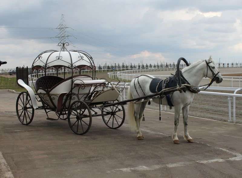 ГАУ Центр компетенции Республики Башкортостан по коневодству и конному спорту Акбузат