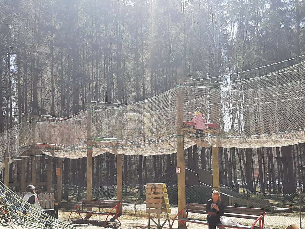 Лесной экстрим