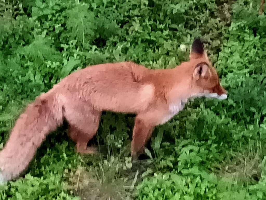 База отдыха Орбита