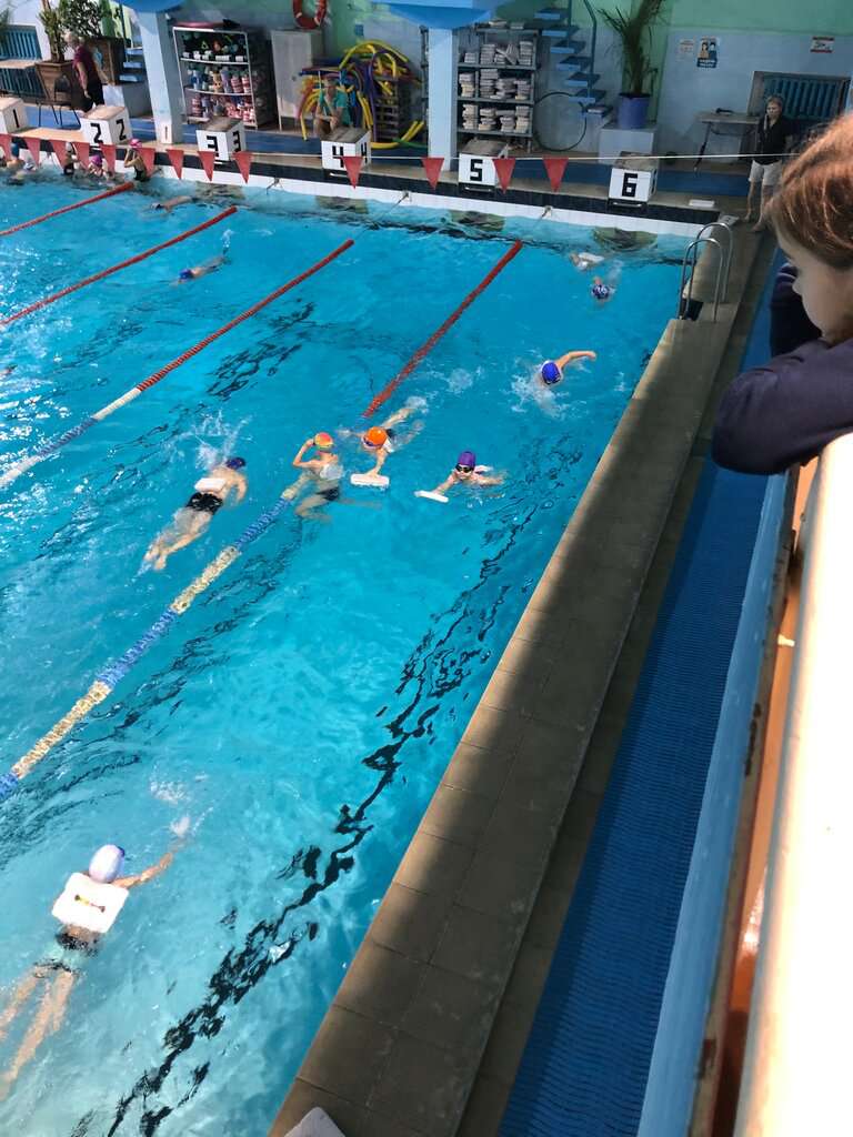 Дом физкультуры с бассейном