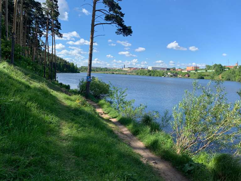 Уктусский лесопарк