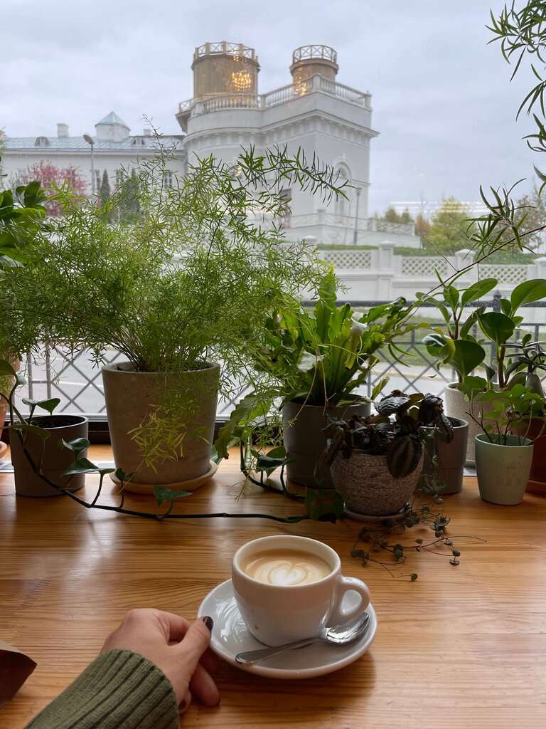 Ранняя пташка