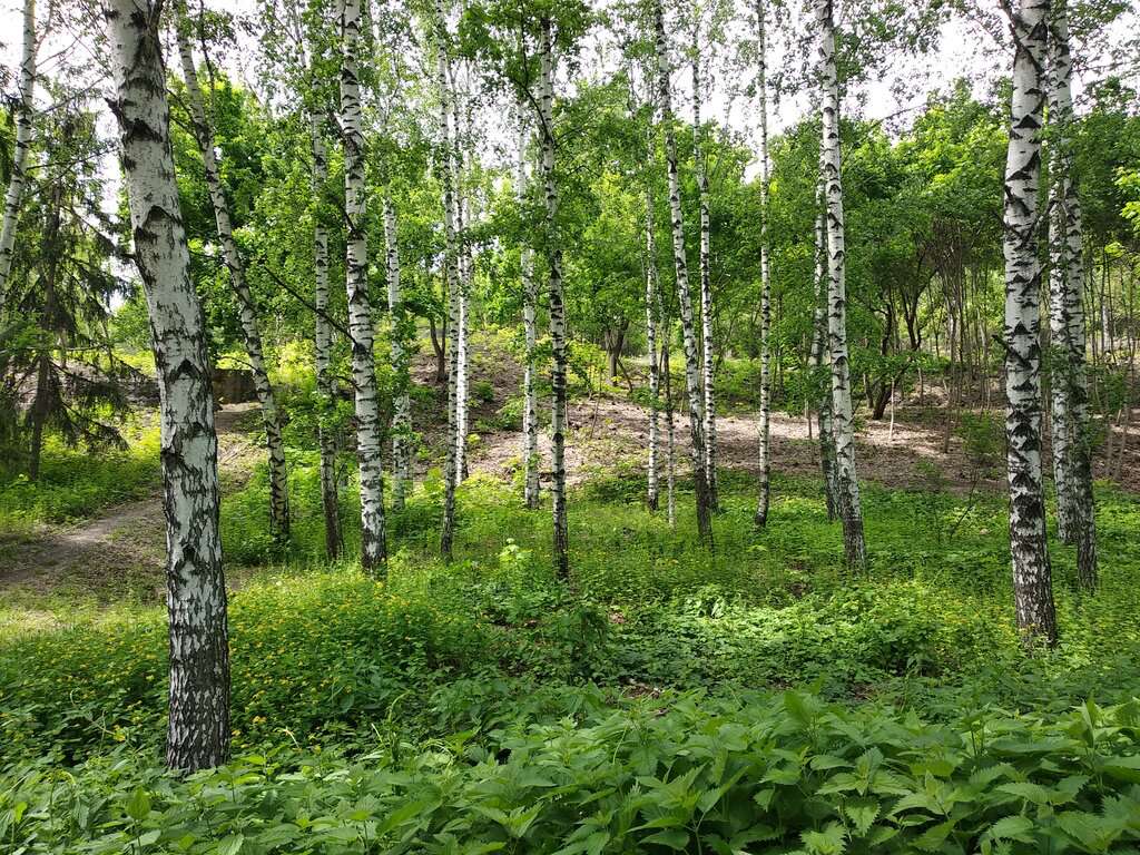 парк Дружбы народов