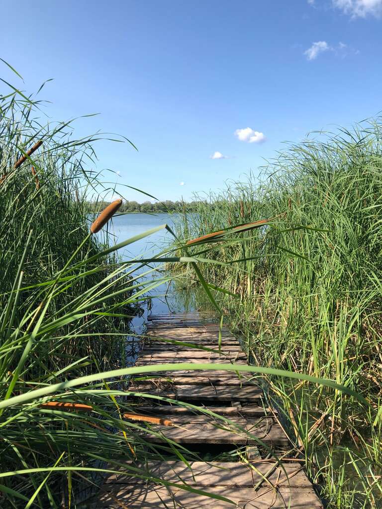 База отдыха Омега