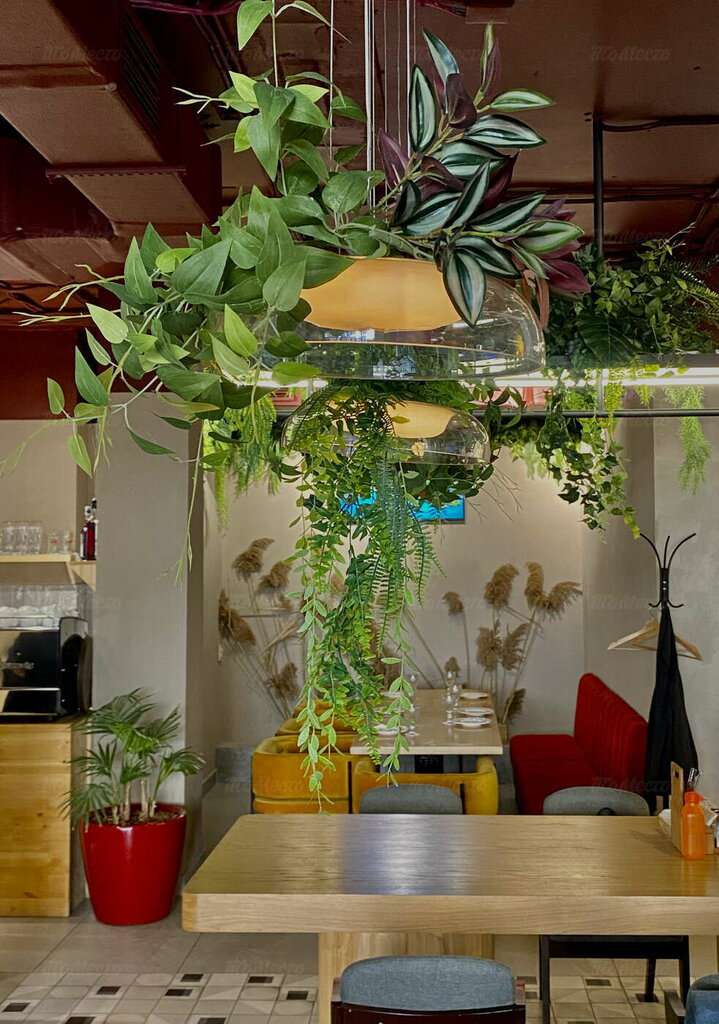 Тутто Пицца