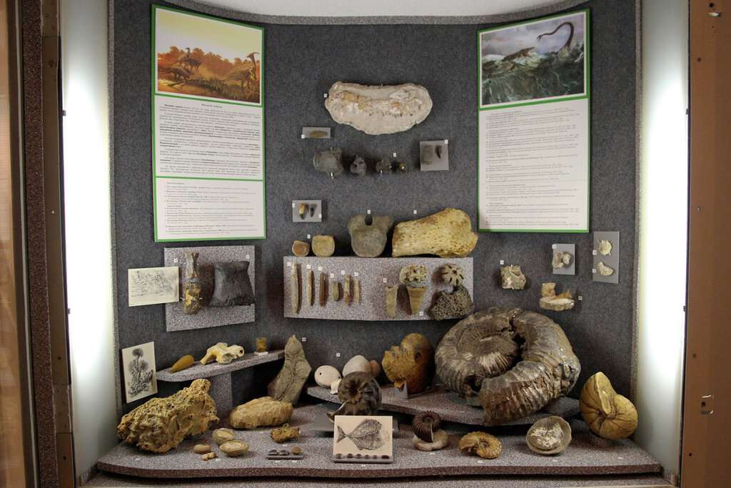Музей природы