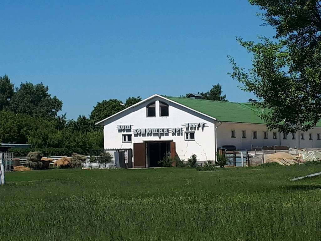 Конноспортивная школа НИУ БелГУ