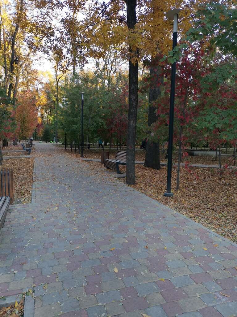 Осенний парк