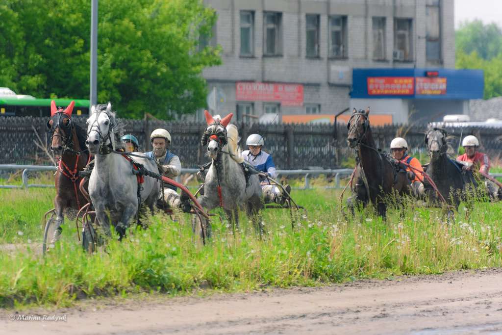 Тюменский областной ипподром