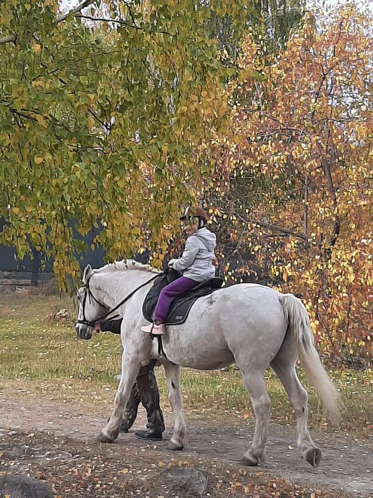 Вольный Ветер