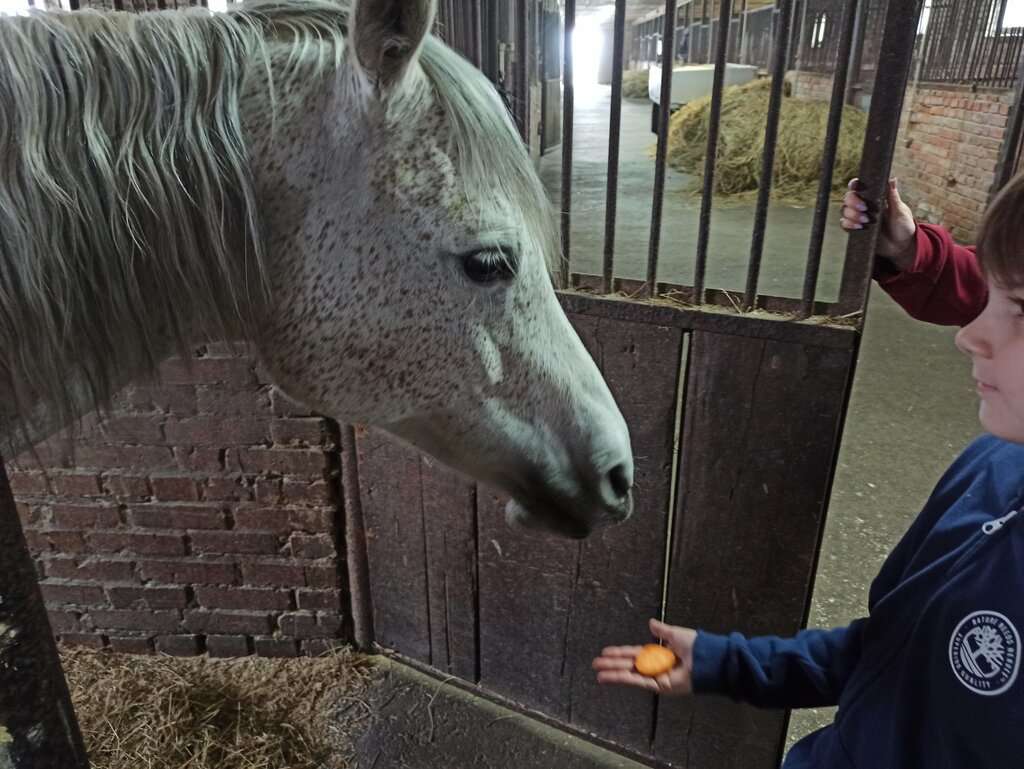 Конно-спортивный клуб Бештау