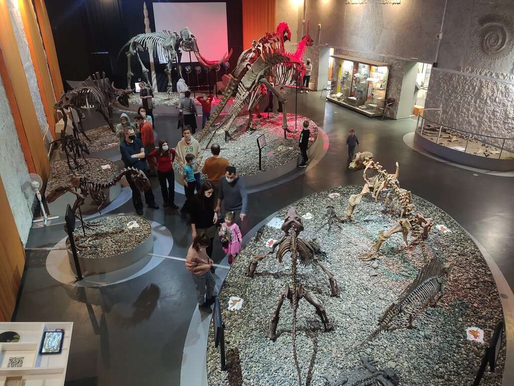 Музей пермских древностей