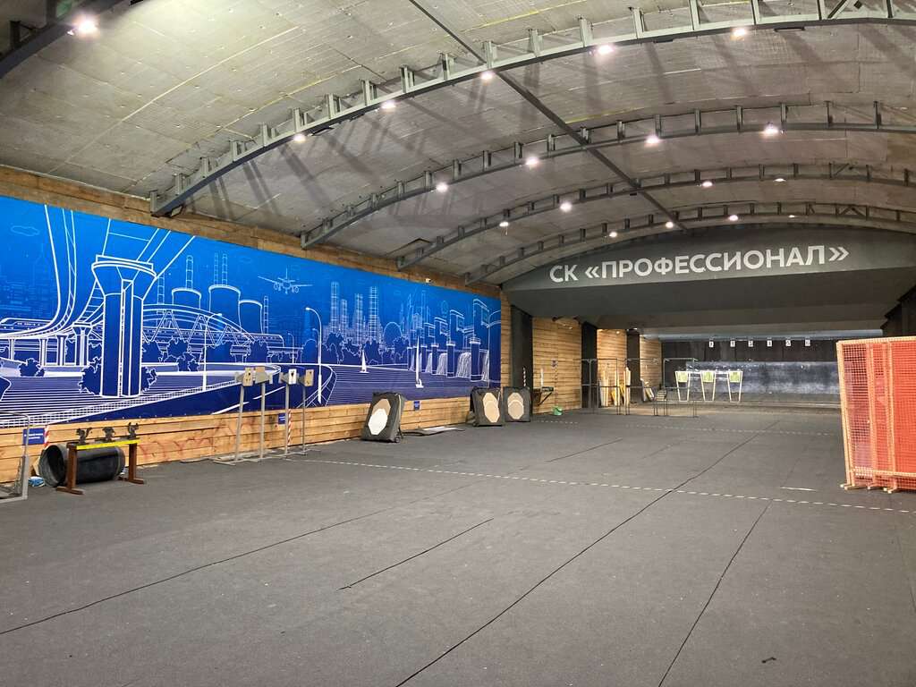 Профессионал