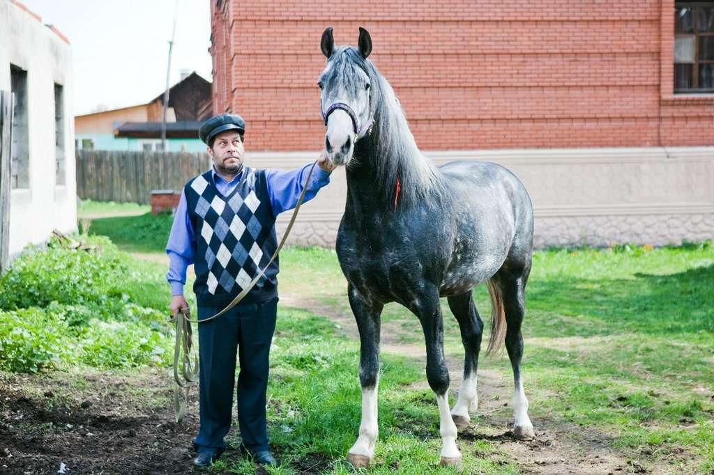 Конный клуб Золотая Подкова