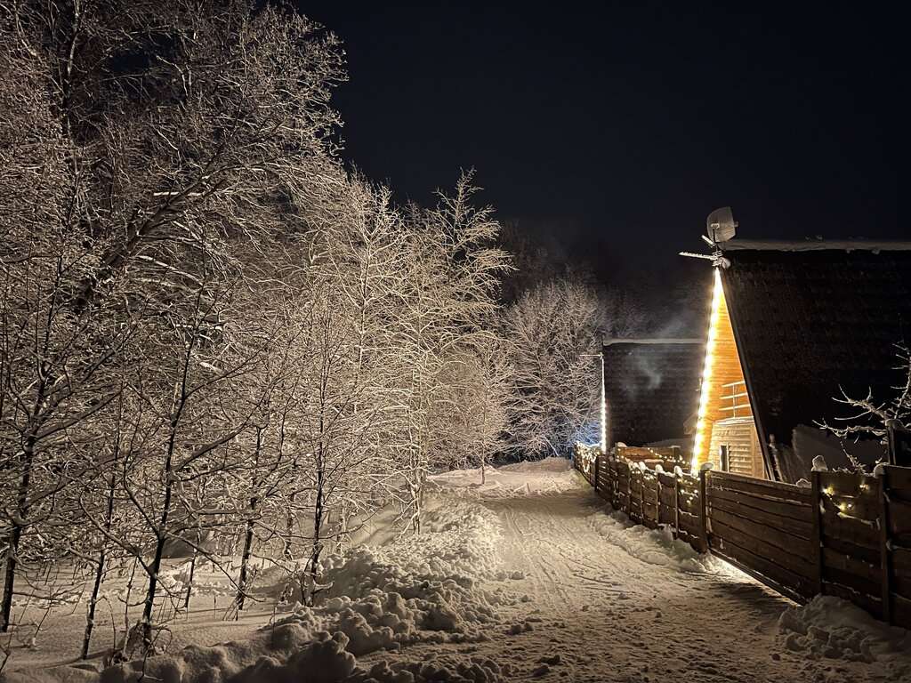 Бани в лесу