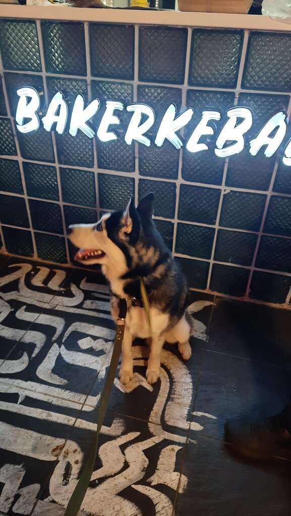 BakerKebab