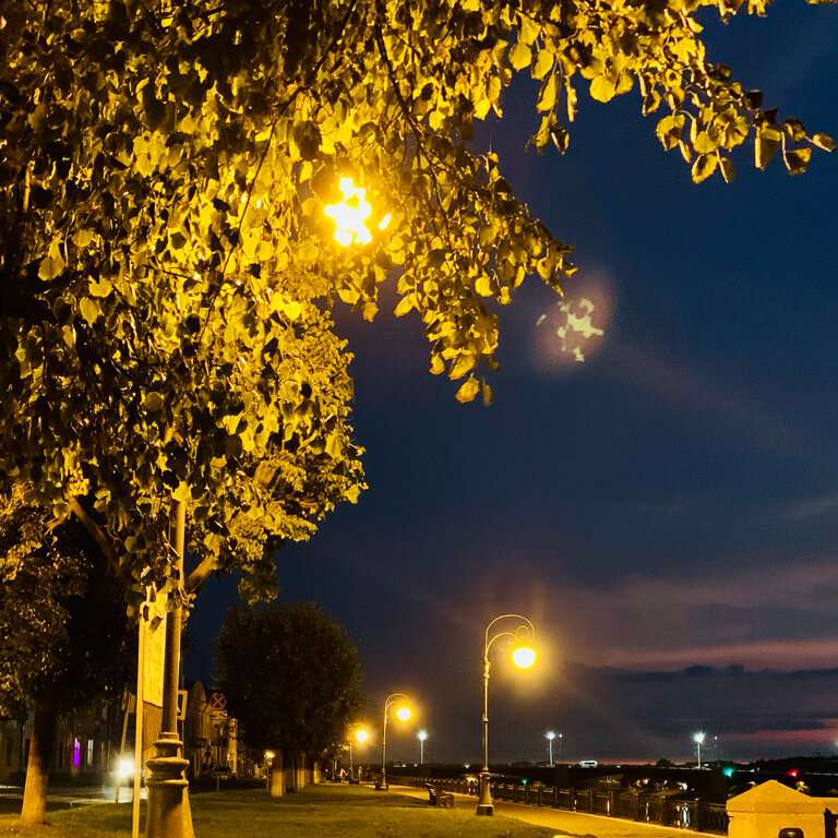 Смотровая площадка