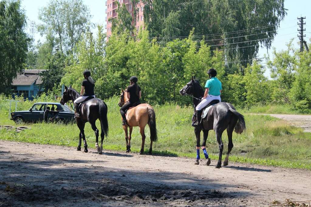 КСК Галоп