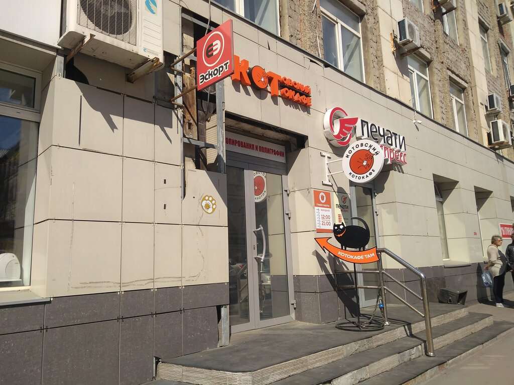 Котокафе Котовский