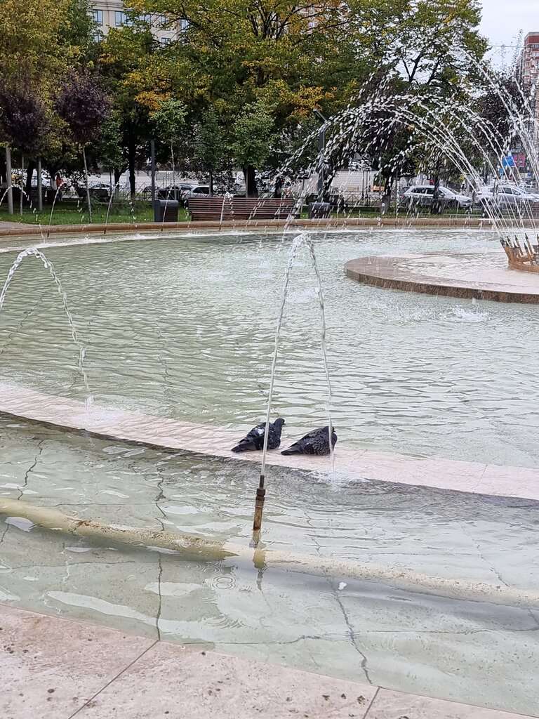 Фестивальный сквер