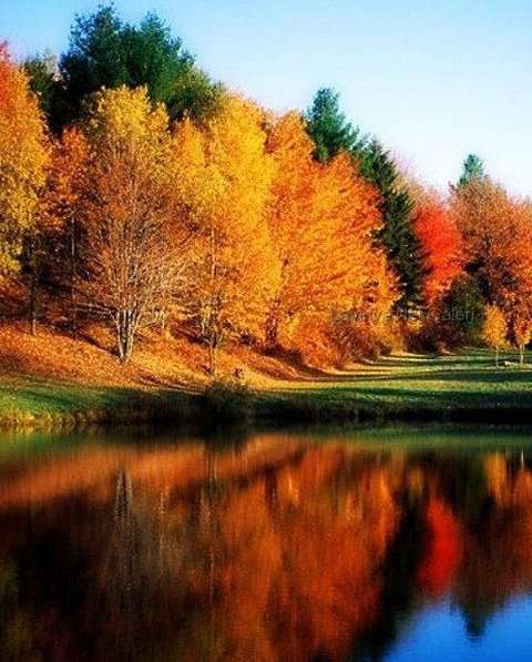 Дом отдыха Звездный, отдел бронирования