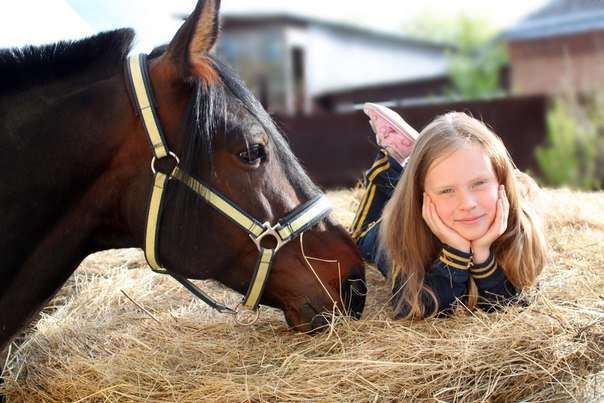 Golden Horse