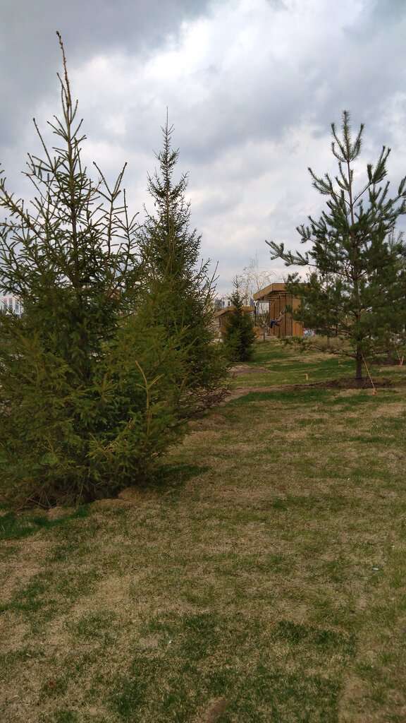 Черкасовский сквер