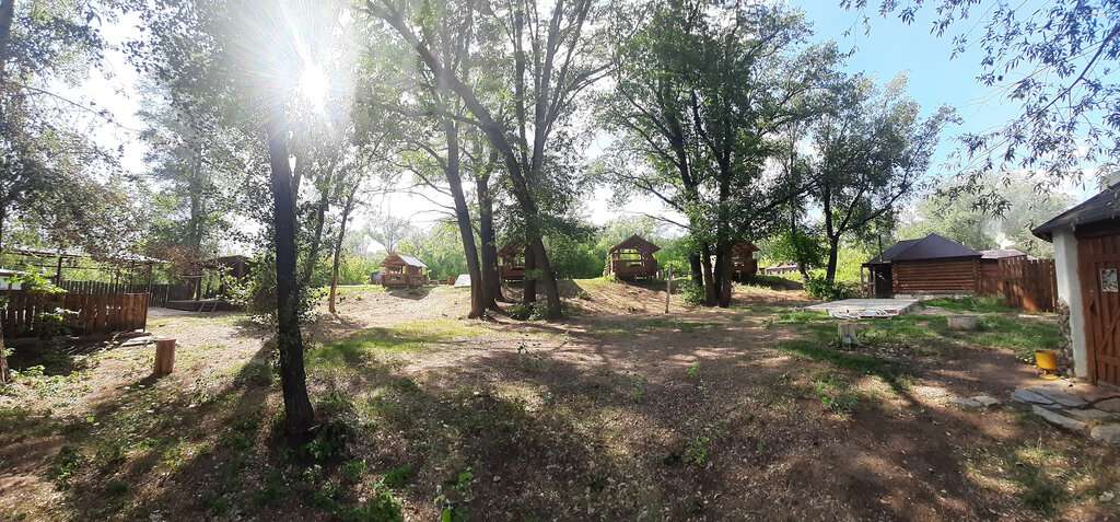 Лесная сказка