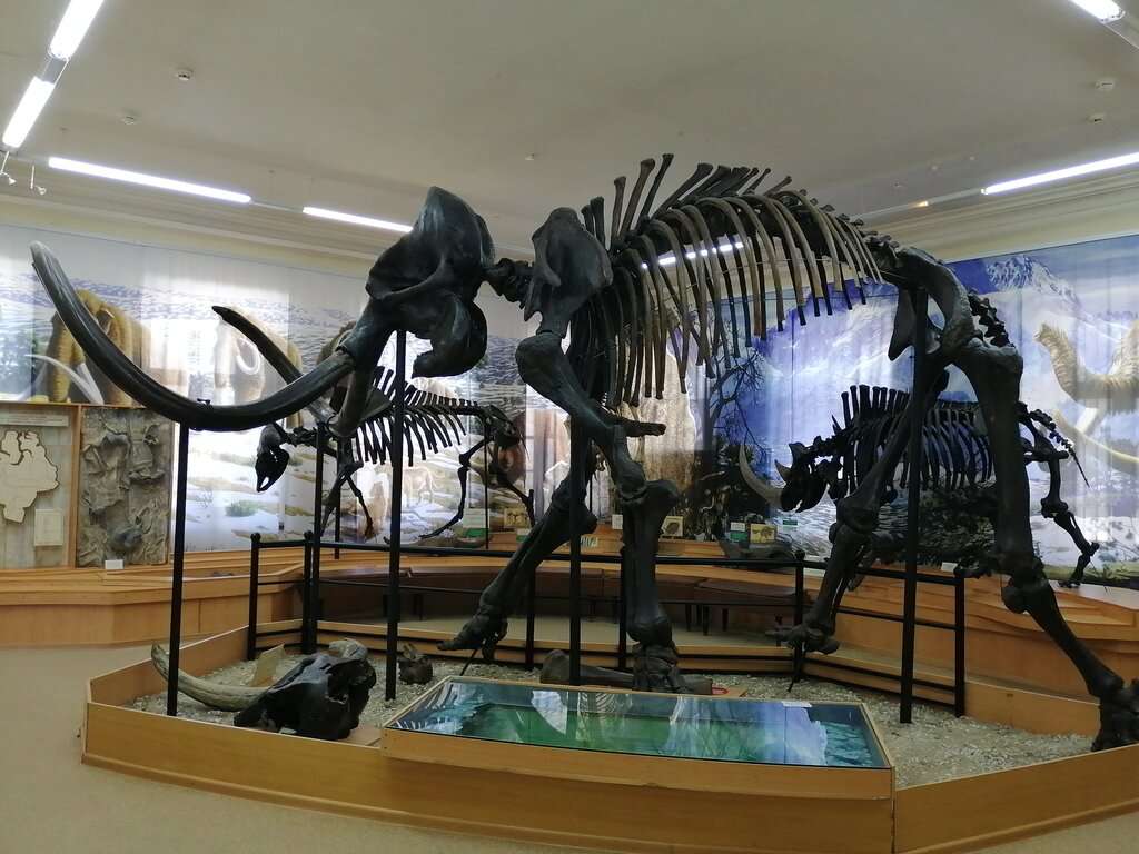 Музей Городская Дума