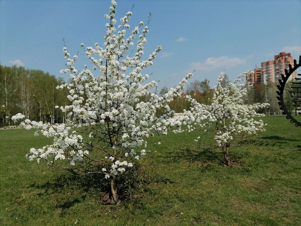 Парк камней