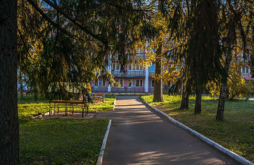 Красный бор