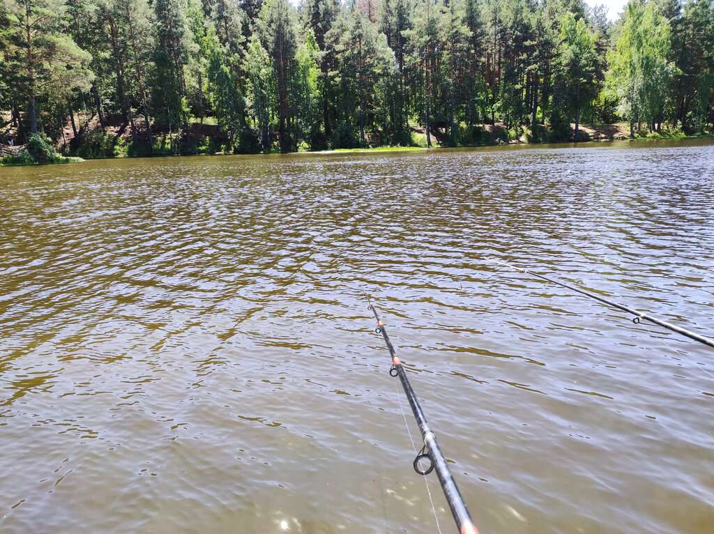 Рыбалка