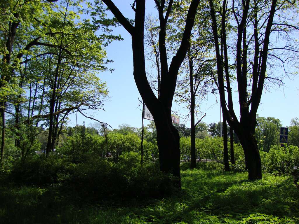 Трудовые резервы