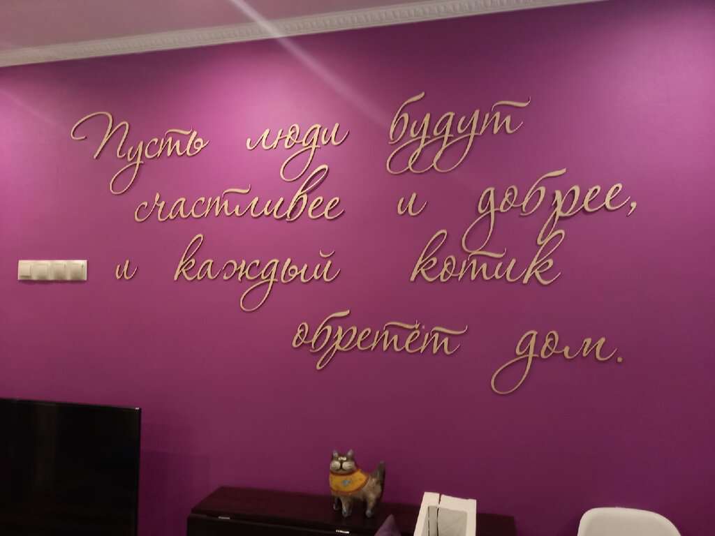 Котокафе Корпорация кошек