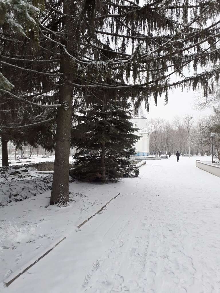 Парк им. Гагарина