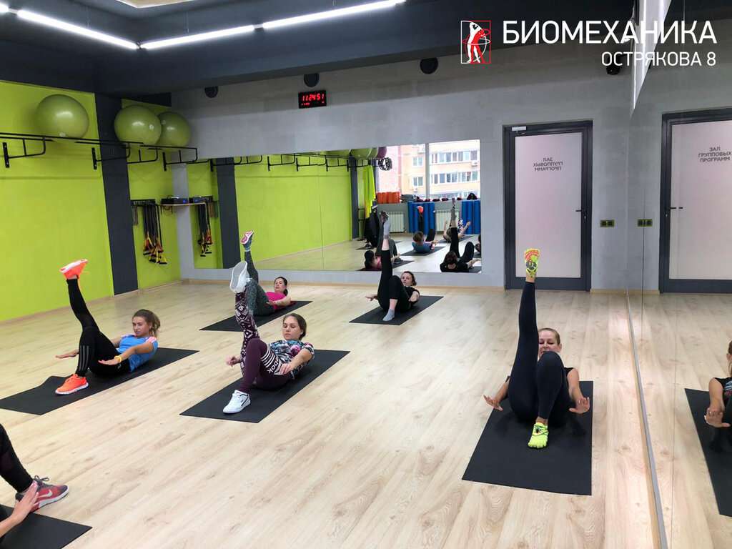 Биомеханика