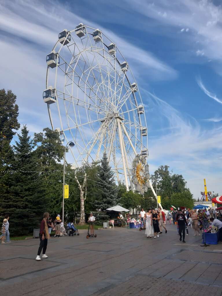 Поющие часы