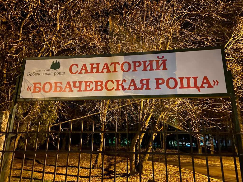 Бобачёвская роща