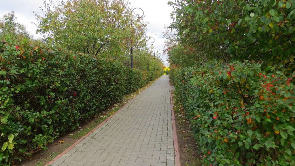 Загородный сад