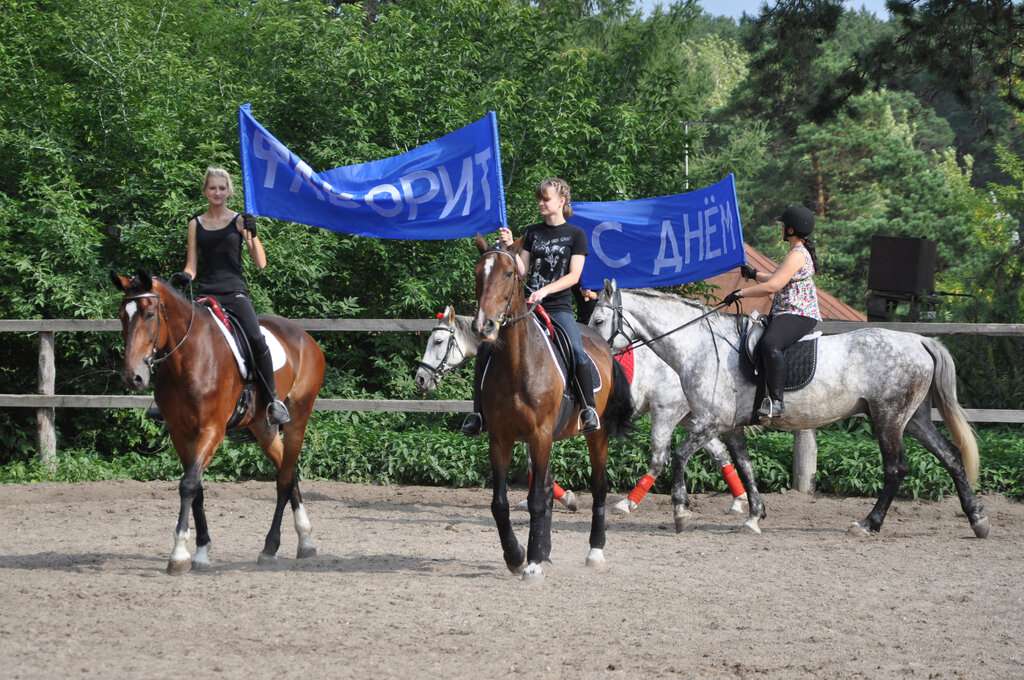 Фаворит НСК