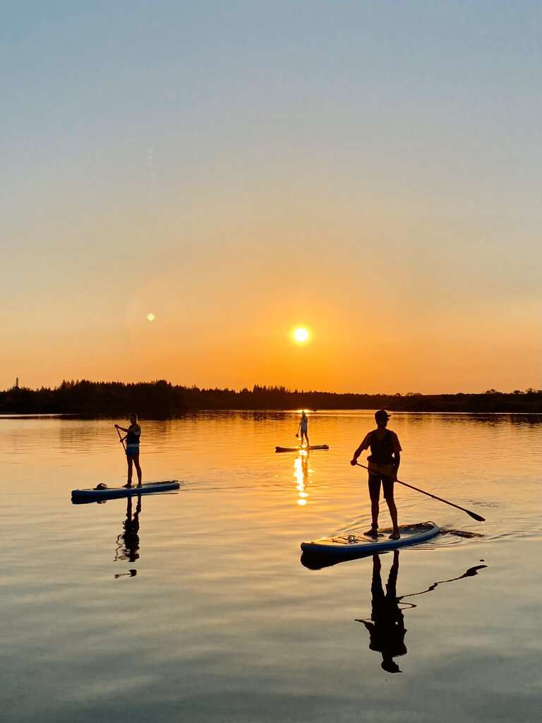 Свободная Сапстанция